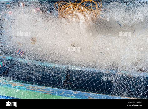 Closeup Of Fishing Net Philippines Islands Stock Photo Alamy