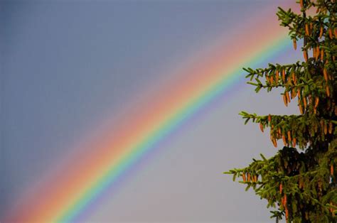 Regenbogenfarben Foto And Bild Opt Phänomene Der Atmosphäre Himmel