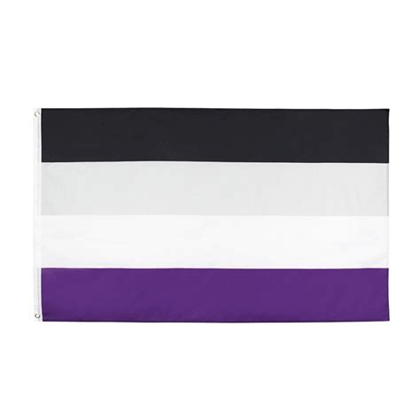 Asexual Pride Flag 5ft X 3ft Premium Pride Flags Rainbow And Co