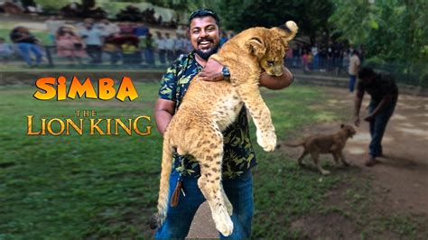 Simba Lion Cub Dehiwala Zoo Comon Man Youtube