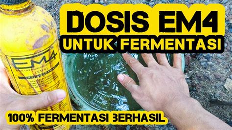 DOSIS EM4 UNTUK FERMENTASI 100 FERMENTASI BERHASIL YouTube