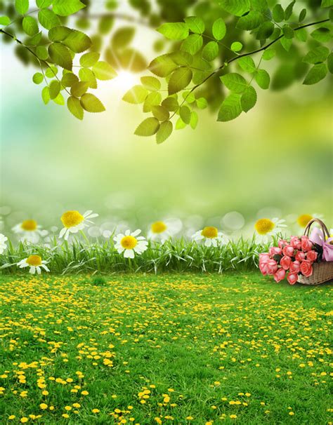 Children Photography Background Sunny Lawn Photo Backdrop Sale