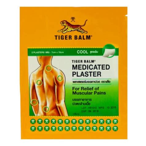 Tiger Balm Plaster Cool 2s 7cm X 10cm Shopee Malaysia