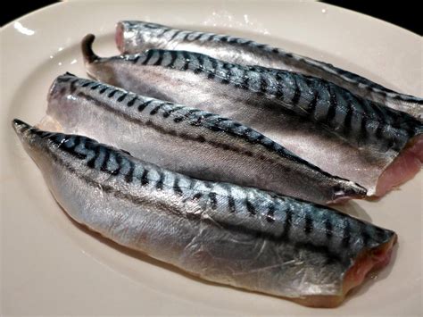 Mackerel Fillet | Hot Sex Picture