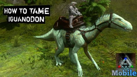 How To Tame Iguanodon Ark Mobile S1 E33 YouTube