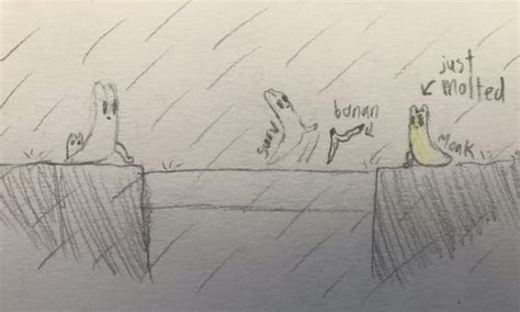 The real truth rain world doesn’t want you to know… : r/rainworld