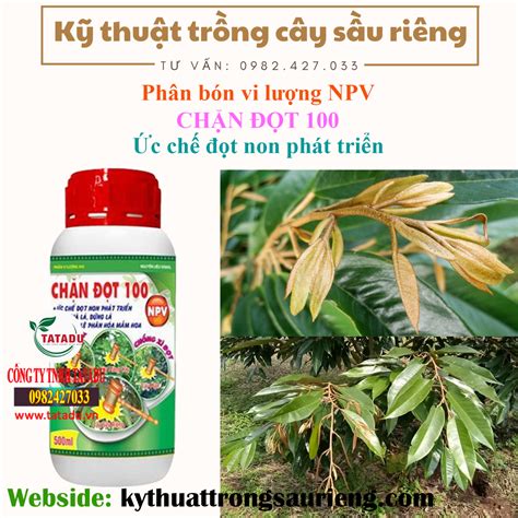 ChẶn ĐỌt 100 PhÂn BÓn Ức ChẾ ĐỌt Non Mau GiÀ LÁ ĐỨng LÁ