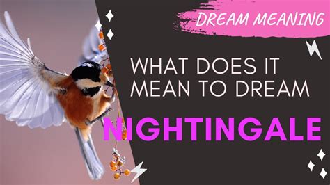 MEANING OF DREAM NIGHTINGALE Interpretation Symbolism YouTube