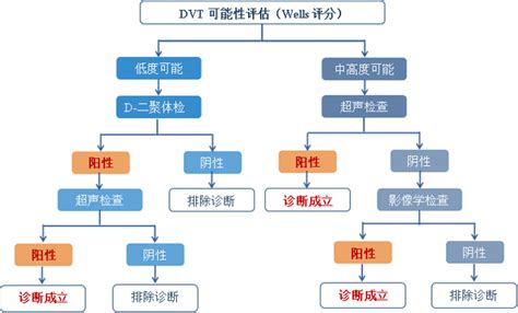 深静脉血栓形成（dvt）的诊断和治疗