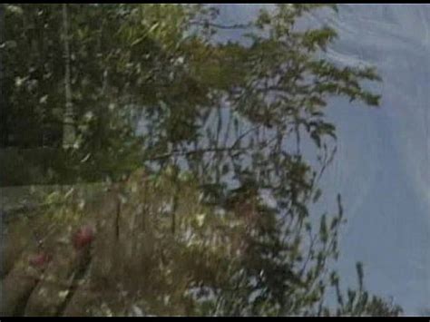 Metro Lesbian Sex 03 Scene 6 Extract 2 XVIDEOS