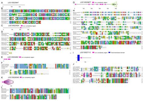 Gonadal Transcriptomic Analysis Reveals Novel Sex Related Genes In Bactrocera Dorsalis