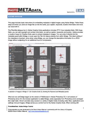 Fillable Online This Page Includes Basic Instructions For Embedding