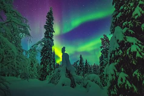 Viaggio in LAPPONIA FINLANDESE Saariselka la località dellAurora