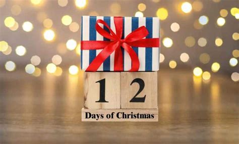 12 Days Of Christmas Marketing Campaign Ideas ROAR