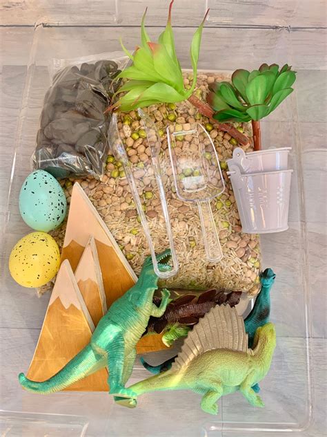 Dinosaur Sensory Bin Etsy