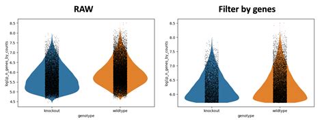 Hands On Filter Plot And Explore Single Cell Rna Seq Data With Scanpy