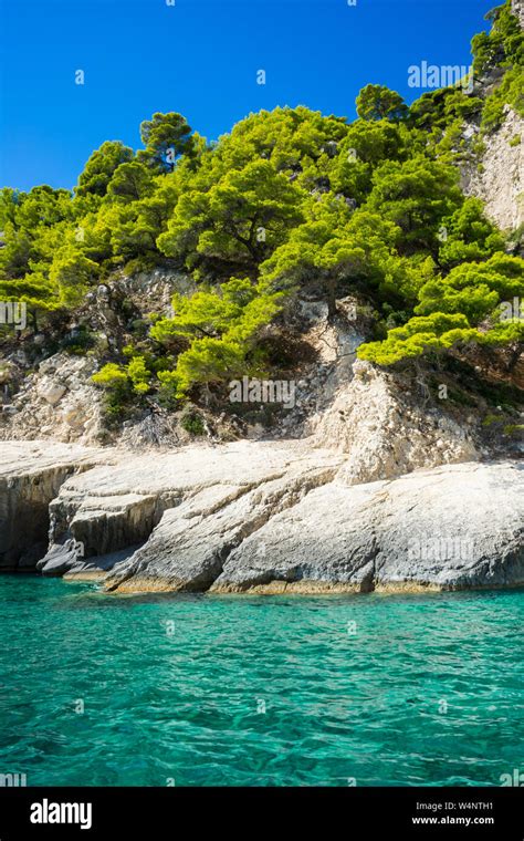 Greece Zakynthos Perfect Green Conifer Trees And Azure Blue Ocean