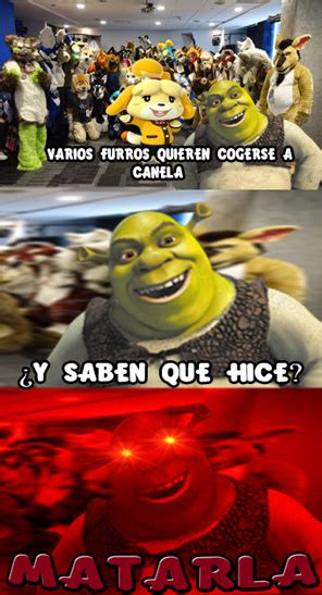 Top memes de furros en español Memedroid