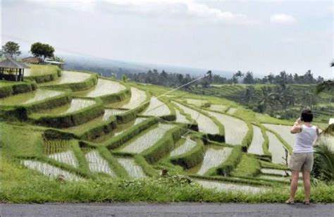 WWF Ke 10 Subak Bali Kearifan Lokal Indonesia Merawat Air Koran Jakarta