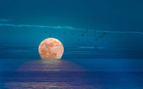 Download wallpaper 3840x2400 moon, sea, night, birds 4k ultra hd 16:10 ...