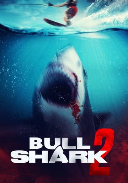 Watch Bull Shark 2 (2024) - Free Movies | Tubi