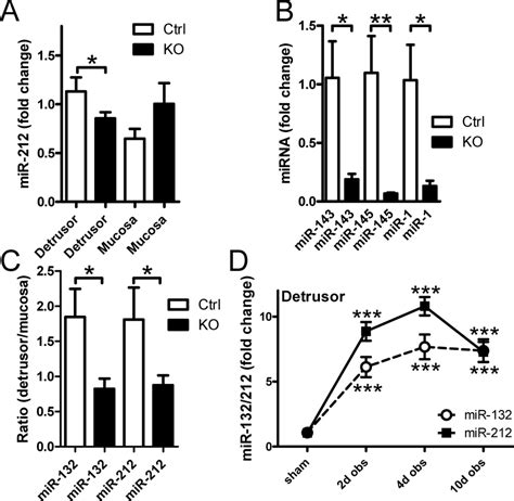 Basal Expression Of Mir In Detrusor Smooth Muscle Is Low Yet