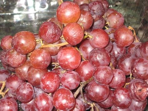 Karen Bs Cooking Made Easy Tip Of The Day How To Freshen Up Old Grapes