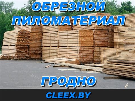 Продажа леса Гродно. - Кликс