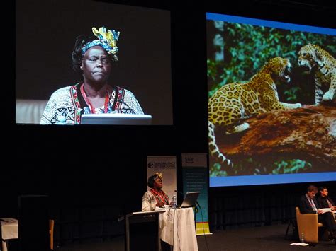 Prof Wangari Maathai The Green Belt Movement Flickr