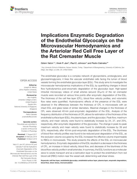 PDF Implications Enzymatic Degradation Of The Endothelial Glycocalyx