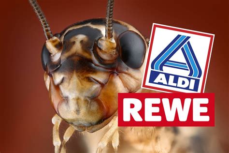 Aldi Rewe Co Insekten In Lebensmitteln So Erkennst Du S