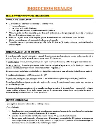 TEMARIO COMPLETO DERECHOS REALES Pdf