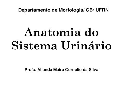 Pdf Aula Teorica Sistema Urin Rio Dokumen Tips