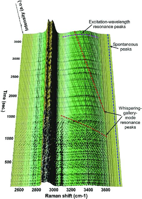 Time Resolved Raman Spectra Showing The Temporal Dynamics Of The