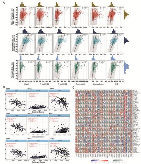 Cancers Free Full Text Pan Cancer Landscape Of Neil3 In Tumor Microenvironment A Promising