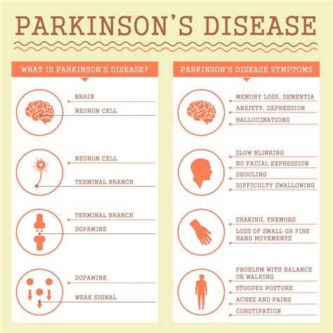 Parkinsons Disease Infographic Medfitnetwork