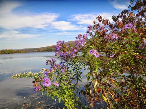 Berkshires fall foliage photos » Berkshire Links