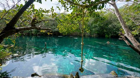 Los Mejores Cenotes En Tulum Para Visitar Este 2023