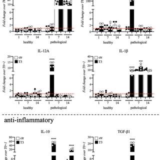 Gene Expression Profile For Pro Anti Inflammatory Cytokines Of Tendon