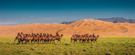 Mongolia Travel Travel To Mongolia Discover Mongolia Travel