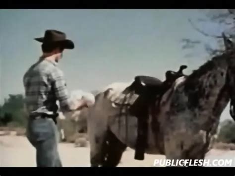 Retro And Gay Brokeback Bareback Mountain