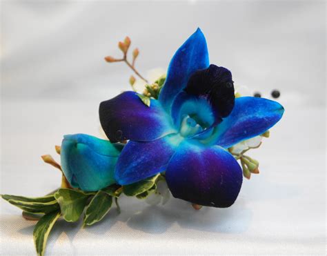 Blue Orchid Boutonniere - Soderberg's Floral and Gift