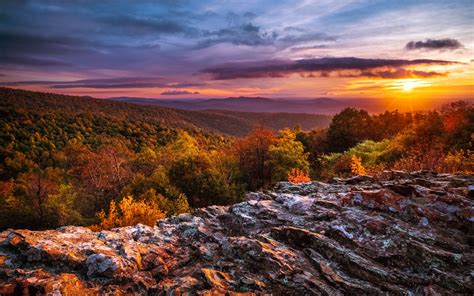 The Best Time To Visit Shenandoah National Park In 2024