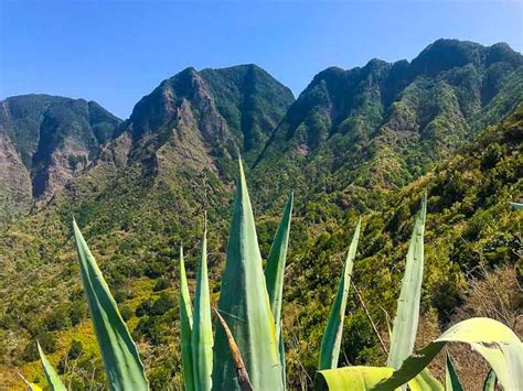 Hiking in La Gomera Why You'll Want to Do a 7-Day Self-Guided Hike