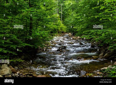 Beautiful river scene in Shenandoah national park Stock Photo - Alamy