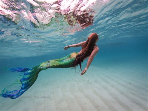 A Origem Do Mito Das Sereias