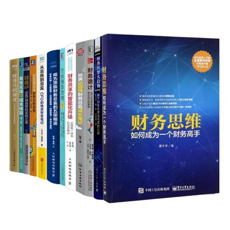 财务管理书籍12本册从总账到总监财务bp世界500强财务总监笔记预算管理500强企业财务分析实务等案例分析实操正版虎窝淘