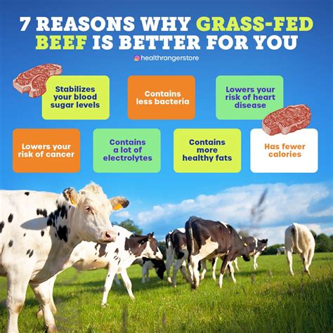 7 Reasons Why Grass Fed Beef Is Better For You Grass Fed Beef Healthy Fats Nutrition