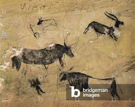 Mesolithic Cave Paintings