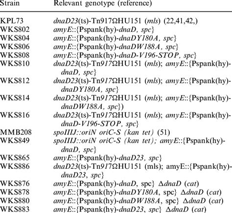 Bacillus subtilis strains | Download Table